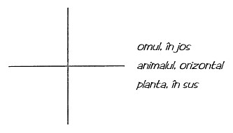 desen