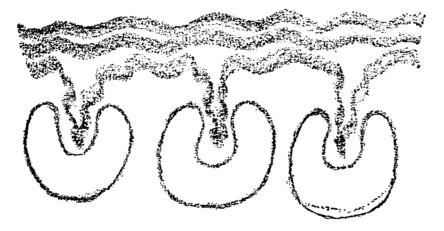 desen