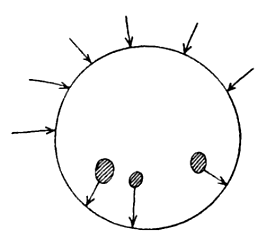 figura2
