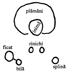 figura 1