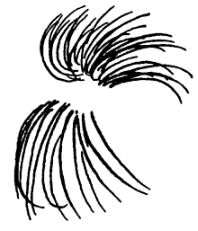 figura 3