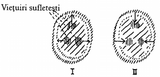 desen