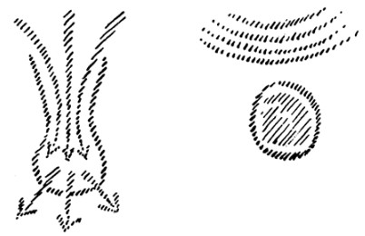 spiritele luciferice