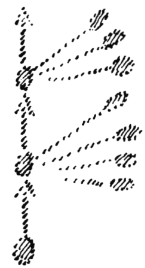 desen