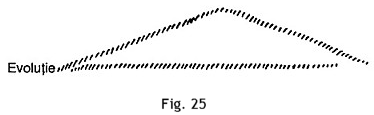 figura 25