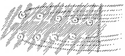 desen