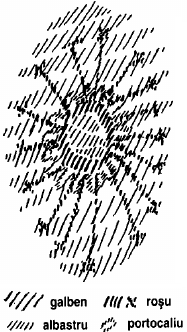 desen