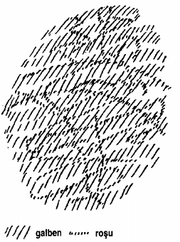 desen