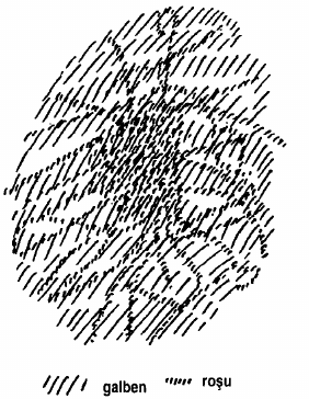 desen