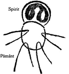 desen