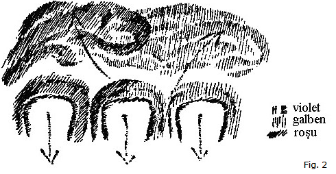 figura 3