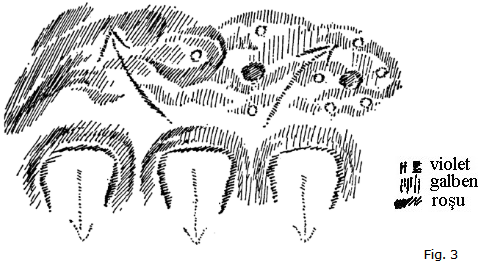 figura 3