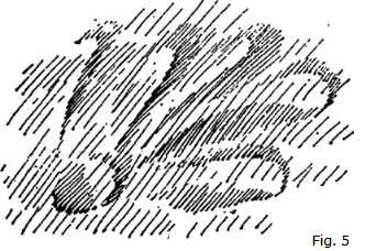 figura 3