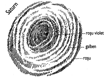 desen 1