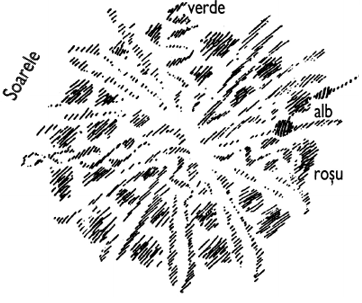 desen 2
