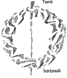 desen 4