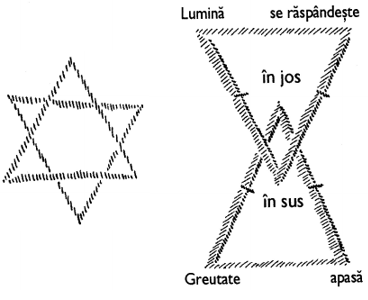 desen 8
