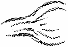 desen 12