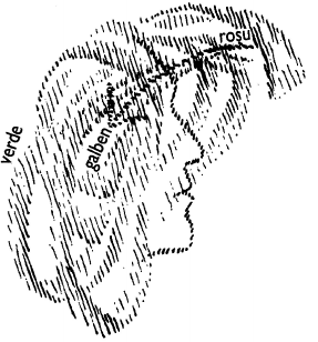 desen 16