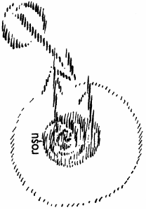 desen 17