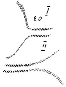 desen 9