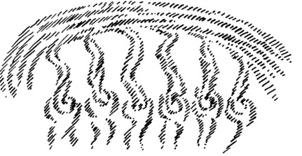 desen