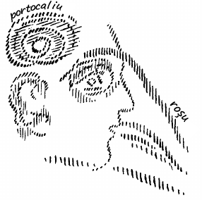 desen 6