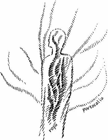 desen 7