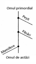 desen