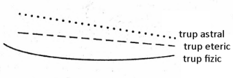 desen