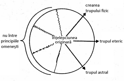 desen