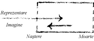 Figura 1