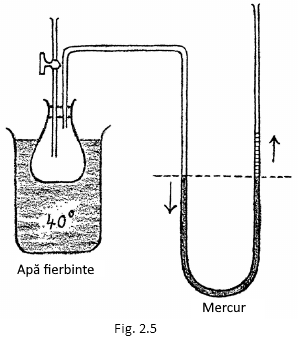 desen