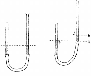 desen