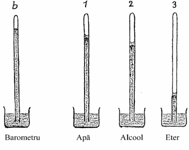 desen