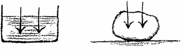 desen
