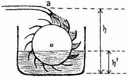 desen