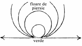 desen