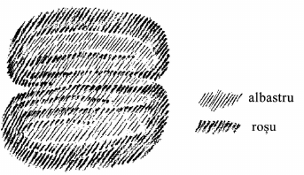 desen
