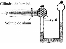 desen