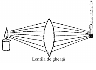 desen