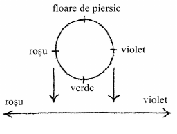 desen