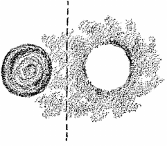 desen