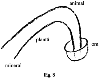 fig.8