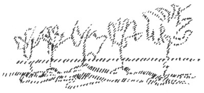 desen