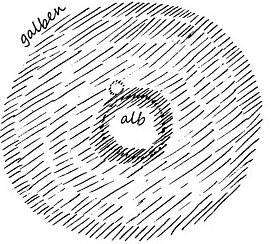 desen