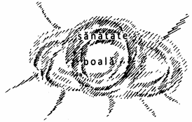 desen