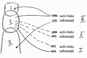 desen