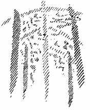 fig.4