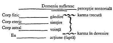 desen